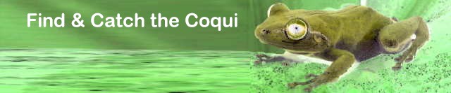 Find & Catch the Coqui